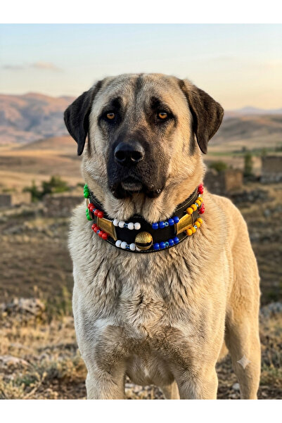 YILPAX Hakiki Deri Boncuklu Zilli Büyük Irk Köpek Tasması Zilli Nazar Boncuklu Otantik Büyük Irk Köpek Tasması 80x8 cm