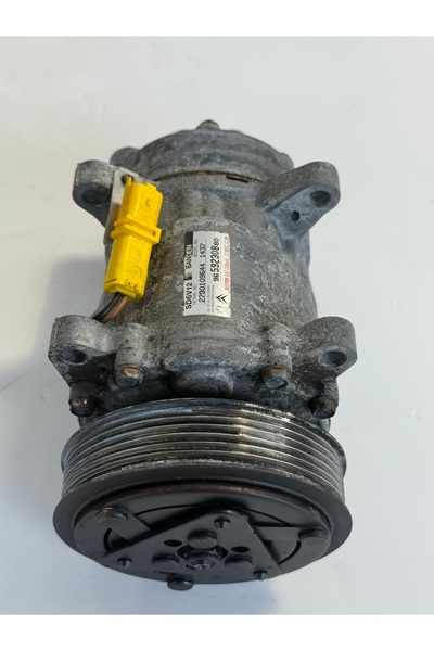 SANDEN Συμπιεστής κλιματισμού Peugeot 206, 307, 406, 607, 806, Partner, Citro...