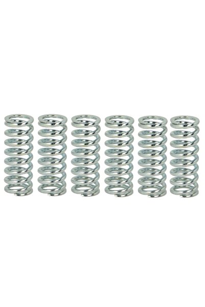 TRW Set Arcuri Ambreiaj Honda Cb Cbr Suzuki Gsx Gsx-r Rf Rm-x 250-900 1990-20...