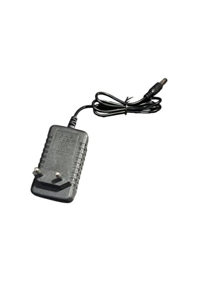 E-ANAMAG Charger 21 V, 1 A 100-240 VAC, 50/60 Hz, POWER SUPPLY 21 V NEW