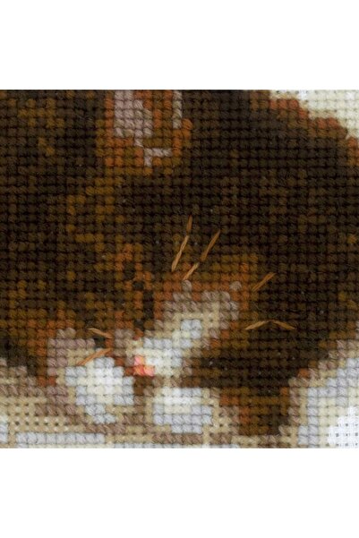 NO BRAND Kit de broderie punct în cruce Riolis 30X24 cm - Pisicuță pe frunze