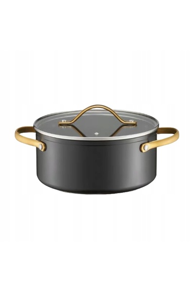 BEAUTY AMBITION Oală Ambition cu capac Royal 24cm 4,6L 32909 Mânere aurii Ind