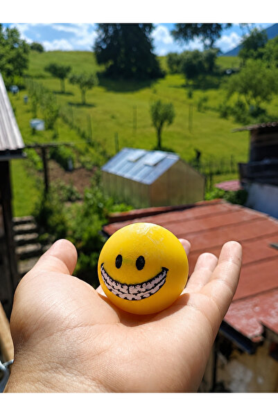 You Toys Minecraft Verity 2. Aşama Figür Oyuncak