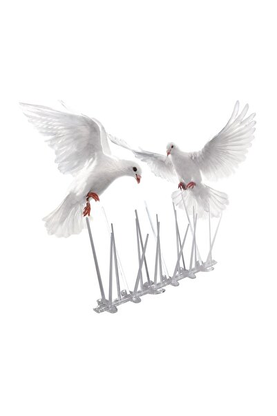OEM Repelent păsări/animale exterior, model țepi, păsări, transparent – soluț...