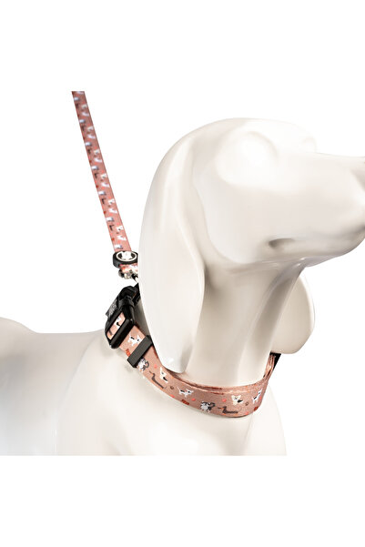 Bud & Billy Dog Park Pals Dog Collar