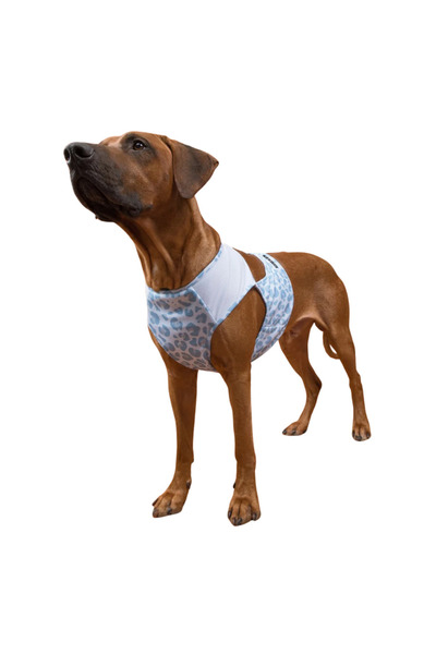 PAIKKA Cool Vest Snow Leo for Dogs