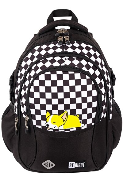 ST Right Rucsac școlar cu 4 compartimente, ergonomic, impermeabil, colecția S...