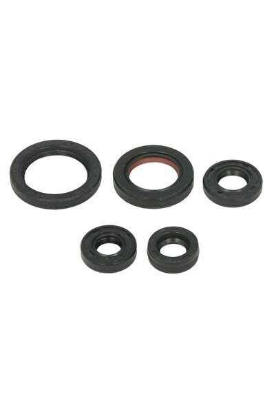 WINDEROSA Set de Garnituri de Motor (cantitate in Set 5 Buc) Yamaha Yfm 50 20...