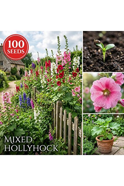 Bloom & Sow Seed بذور زهرة الهوليهوك متعددة الألوان (100 حبة) - زهور ربيعية م...