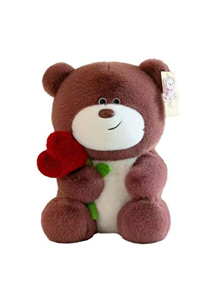 Home Smart Teddy Bear Holding Red Heart Rose 28cm, Ideal Gift for Valentine A...