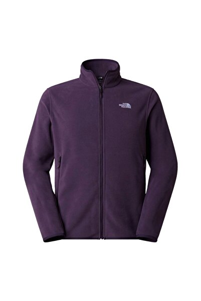 THE NORTH FACE Jachetă fleece pentru bărbați Glacier - Endless Dusk