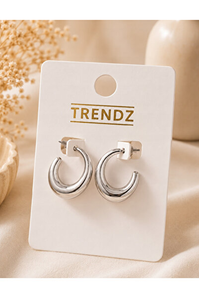Evendi Earrings, Silver