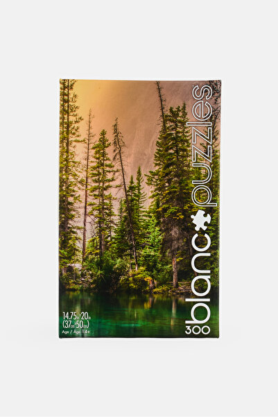 Buffalo Games 300 Pieces Blanc Jigsaw Puzzle