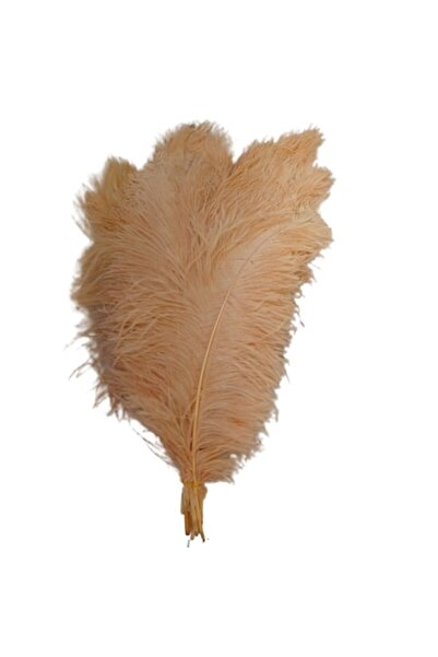 OEM Set de 3 pene de struț, lungi de 60 cm, culoare fildeș, lățime 20-25 cm