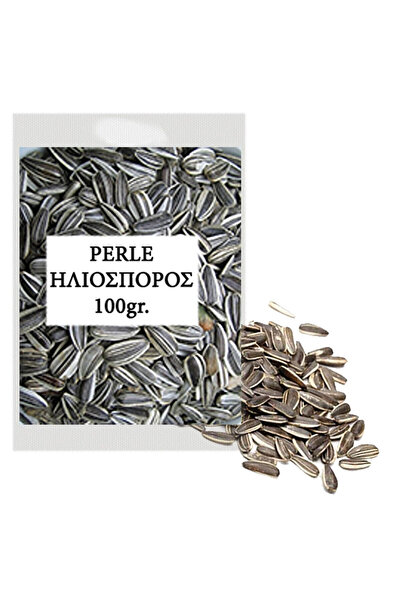 OEM Ηλιόσπορος Ψημένος Αλατισμένος 100gr Perle