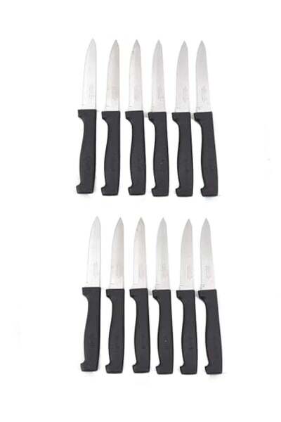 Generic Luxury Fruit Knife Set – 12 Sharp Pieces, Perfect for Every Kitchen