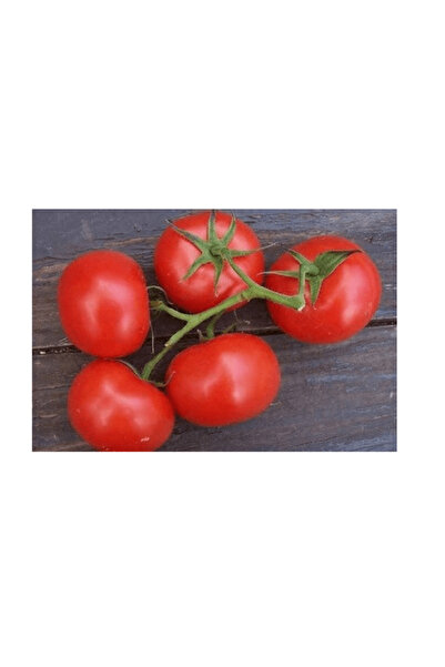Garden Σπόρος Ντομάτας Γκάλι F1