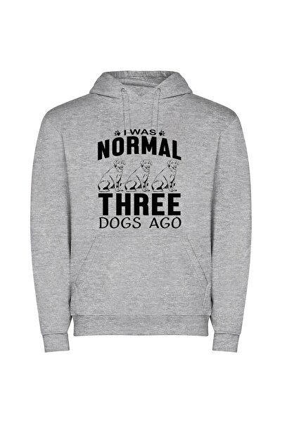iLovePrints Norma's Fashionable Canine Trio Φούτερ με κουκούλα σε χρώμα Γκρι