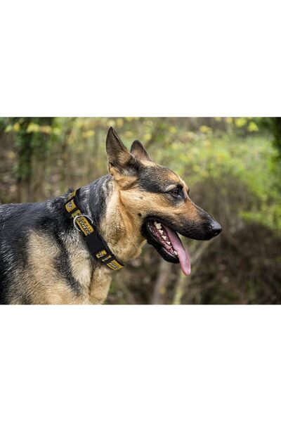 Pets First لعبة مطاطية للكلاب متينة مع حبل سحب قوي للكلاب. لعبة كرة هوكي الجل...