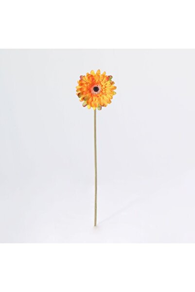 Generic New In Fernza Gerbera Daisy Single Stem Orange H52Cm