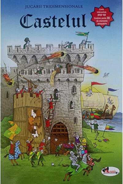 Aramis Castelul. Jucarii tridimensionale