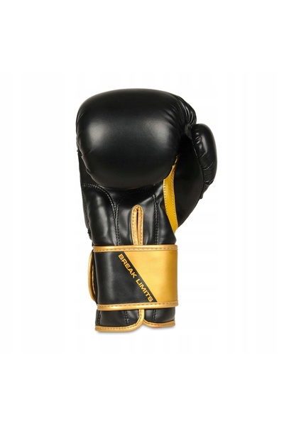 DBX BUSHIDO Mănuși de box B-2v10 negru/auriu 8 oz
