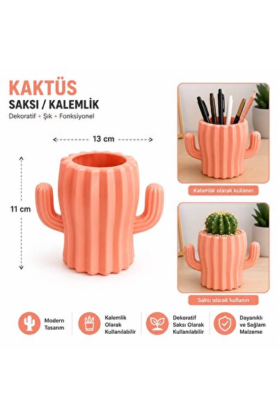 bimbambom Kaktüs Saksı, Sukulent saksı, Plastik Saksı Renkli Saksı, kalemlik,...