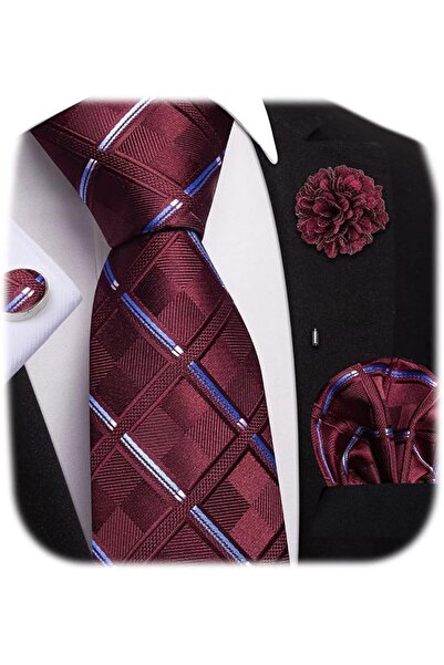 Dubulle Mens Paisely Silk Tie for Men Necktie and Pocket Square Set
