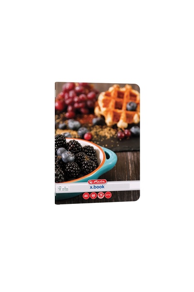 MC Micostore Caiet A4 60 file Patratele Herlitz Model Healthy Snack