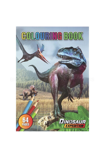 MC Micostore Carte de colorat 64 pagini A4 Dino Grafix