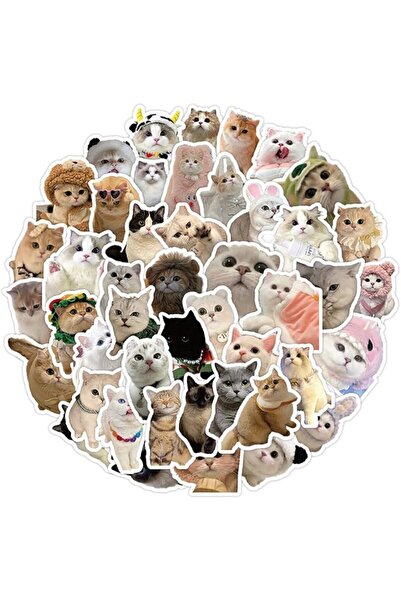 Generic 60 Pcs Waterproof Sports Soccer Stickers Soccer Accessories Water Bot...