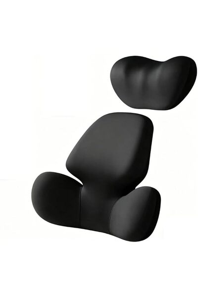 GENERAL Lumbar Support Back Cushion Headrest Set Neck Pillow Kit with Memory ...