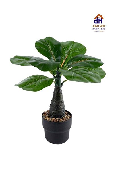 DRAMA HOME Highly Realistic Artificial Fiddle Leaf Fig Tree, 35cm Tall, for H...