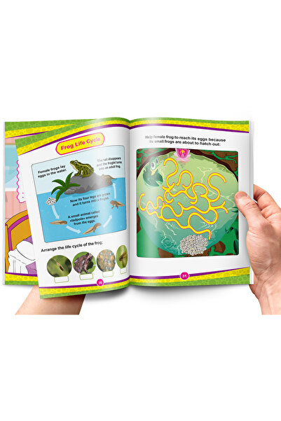 Other تبسيط العلوم - Science