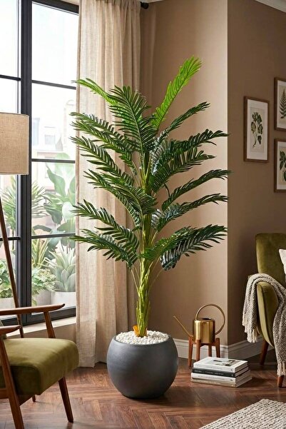Rota Nest 160cm 24 Yapraklı Tek Gövde Yapay Areka Ağacı Yapay Ağaç - 30cm Kür...