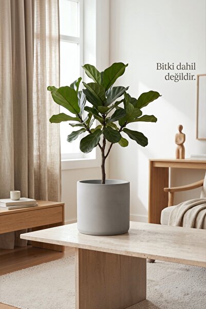 Binbirdemet Dekoratif Beton Saksı – Silindir 19,5x18 cm