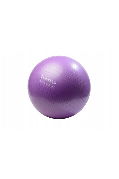 HMS Minge de gimnastică cu masaj pentru exerciții 65CM mov