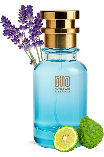 OUD AL MEYDAN Oil Based Perfume for Men – Inspired by La Male – Long-Lasting ...