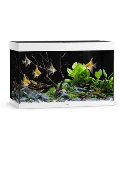 Juwel Rio 290 LED White