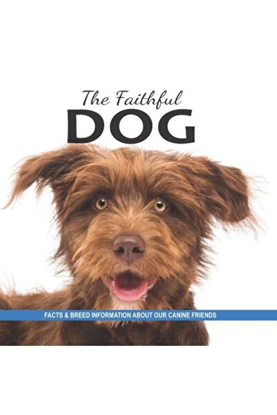 Generic (Unbranded) The Faithful Dog