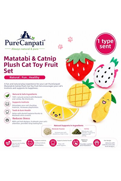 PureCanpati لعبة قطط محشوة بالفواكه تحتوي على ماتاتابي وكاتنيب، قطعة واحدة، م...