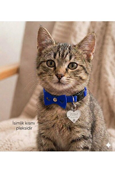 hebmeyy Ayarlanabilir Isimlikli Kedi Tasma, Kedi Tasma Künye, Papyonlu Fiyonk...