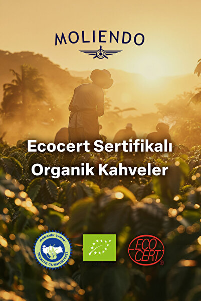 Moliendo Finest Coffee Organik Peru Yöresel Kahve (Çekirdek Kahve) 250 g