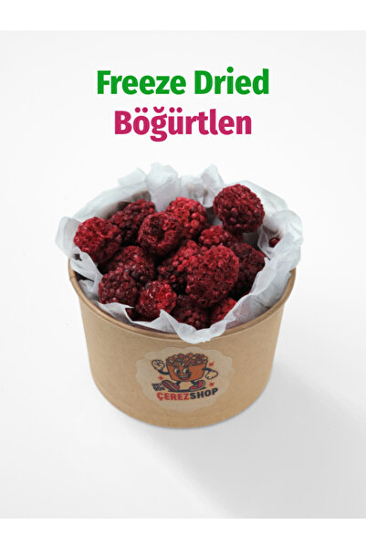 ÇITLAT ÇEREZ SHOP Freeze Dried Böğürtlen | Dondurularak Kurutulmuş Böğürtlen ...