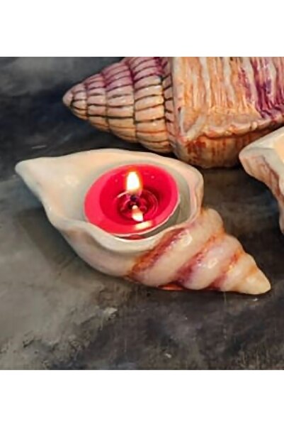 morlalem m 12cm Oyster Mussel Seashell Candle Holder Presentation Tray Silico...