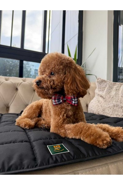 VERAPAWS ربطة عنق للكلاب من نوع SMALL BREED - حزام عنق للكلاب بنقشة مربعات حمراء - إكسسوار عنق أنيق وفاخر للحيوانات الأليفة