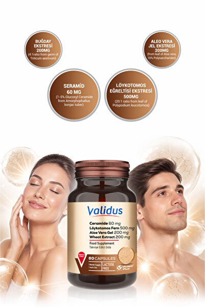 Validus Ceramide 60 mg + Löykotomos Fern 500 mg + Aloe Vera Gel 200 mg + Wheat Extract 200 mg 60 Capsules