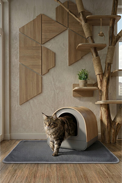 SoGood Concept XL - Elekli Kedi Kum Paspası - Petek Dokulu Kedi Kumu Yakalama...