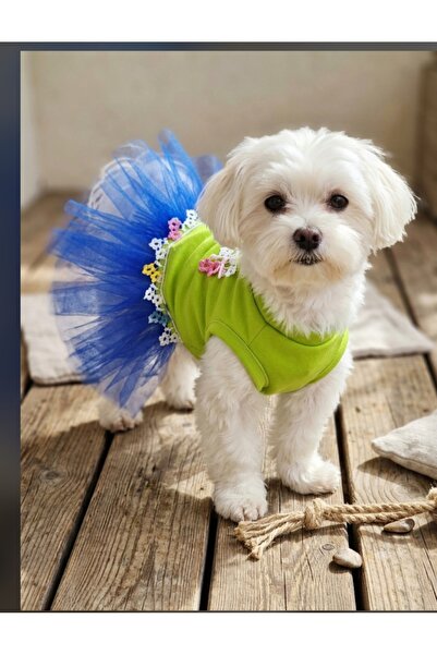 atelyu Cat Dog Outfit Green Blue Tutu Dress