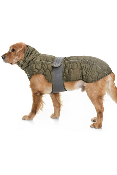 Petza Orta ve Büyük Irk Köpek Mont - Yukata